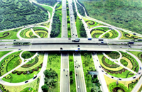 Morning Light upon  the Avenue