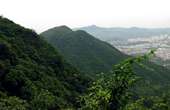 Guangdong Guanyin Mountain National Forest Park