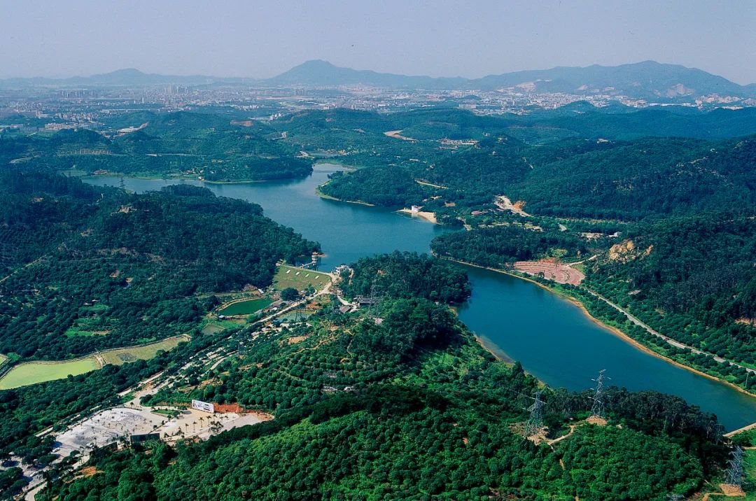 Celebrate CNY in these beautiful and relaxing places in Dongguan ①
