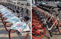 A guide to shared bikes in Dongguan