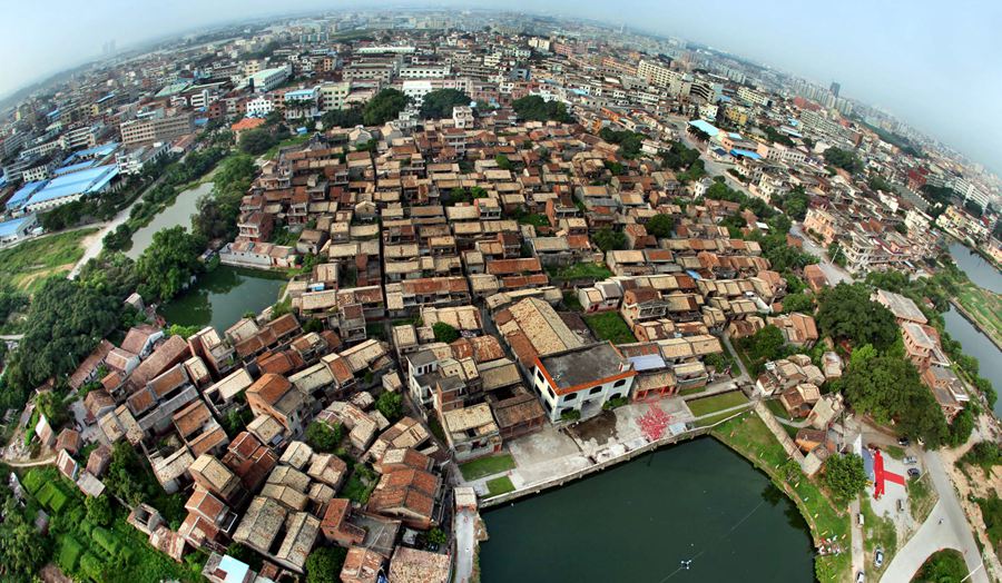 Amazing Dongguaners③ Taking root in Dongguan_Dongguan Today