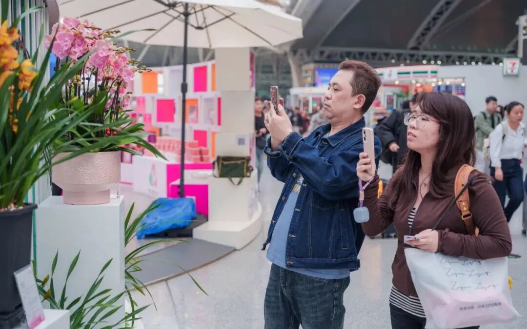 Come to Dongguan to see orchids worth over RMB 100 million
