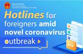 Hotlines for foreigners amid novel coronavirus outbreak