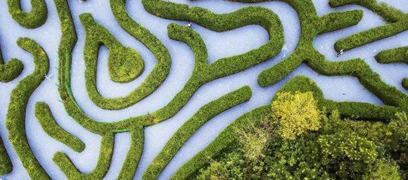 Explore the secret maze in Dongguan
