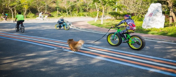 The best places for cycling in Dongguan