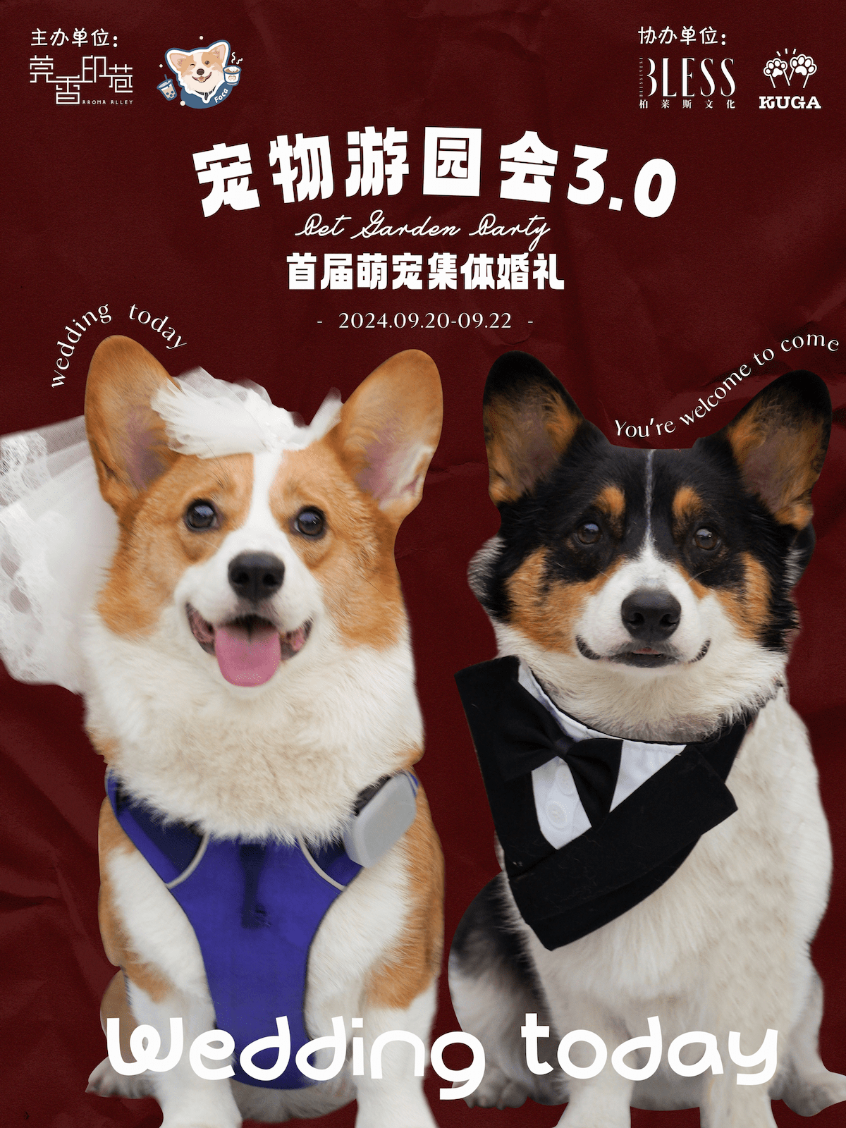 微信图片_20240919171313.png