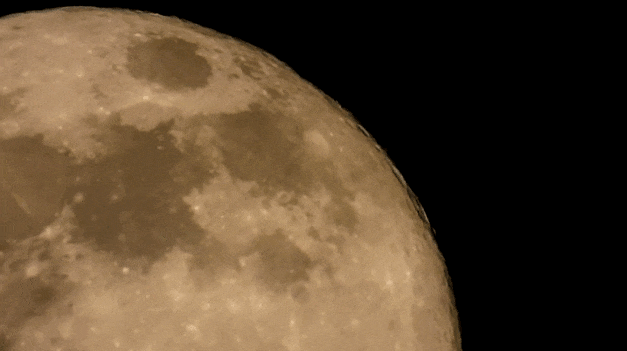 The year's biggest supermoon shines over Dongguan