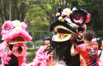 Dongguan LIVE : Lion Dance