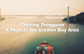[Video] Thriving Dongguan