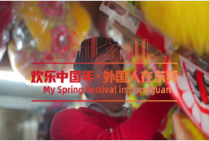 Chinese tradition: Lion Dance